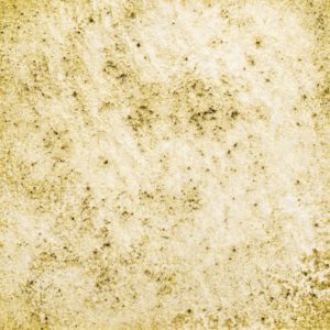 68　あさがおいろ