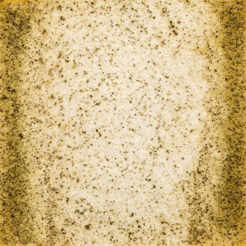 71　おちゃっぱいろ