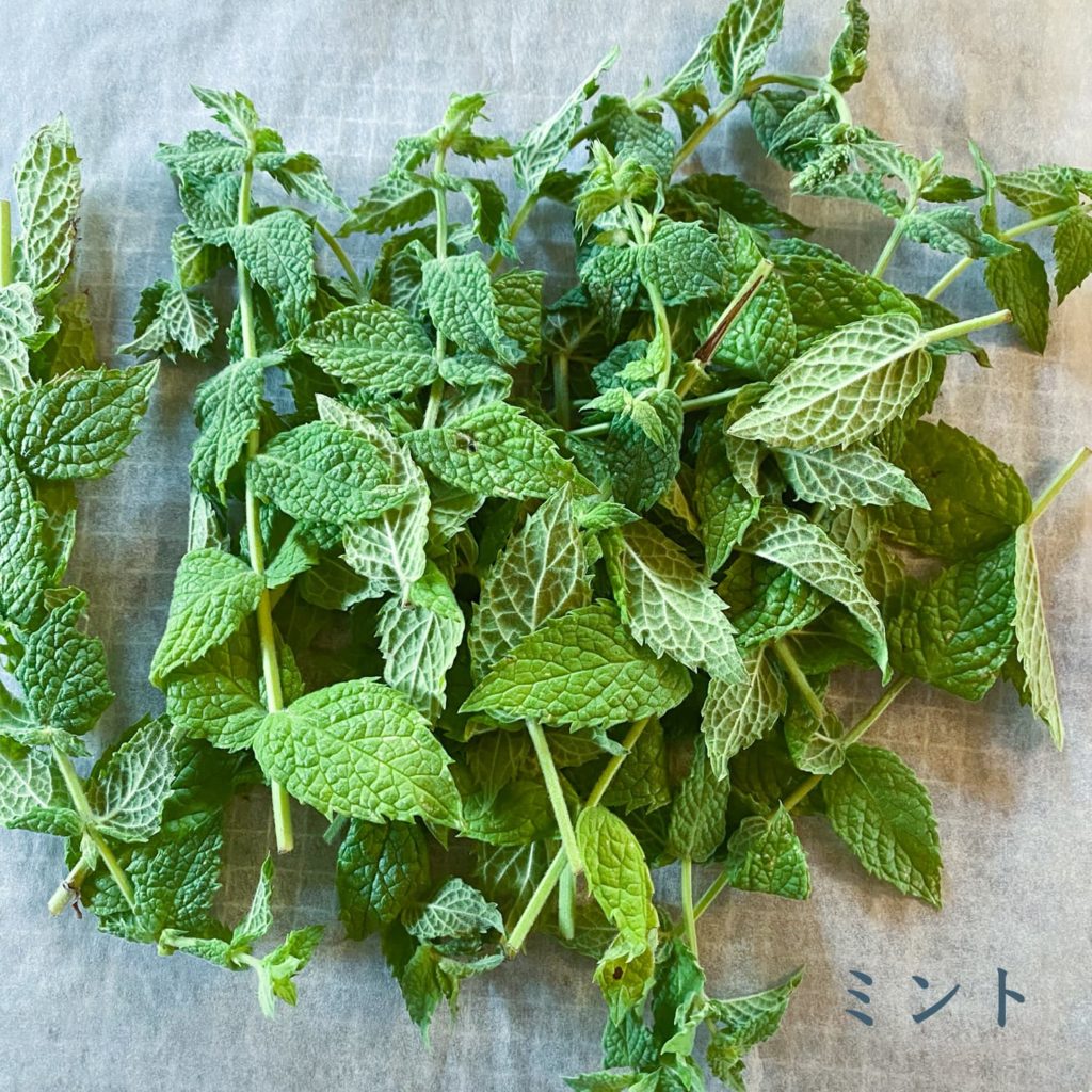 ミント