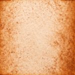 77　あかるいうすちゃ色