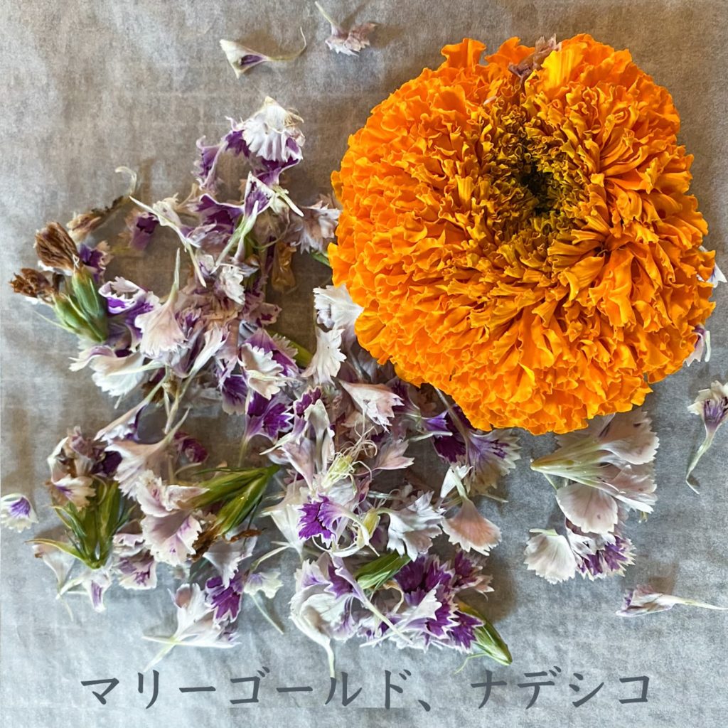 マリーゴールド、ナデシコ