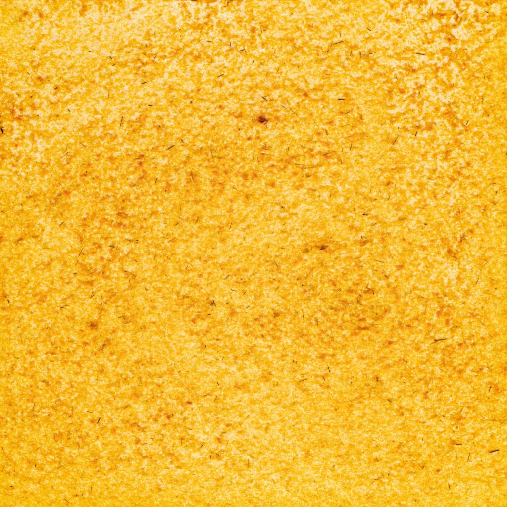 88　まりーゴールドれお