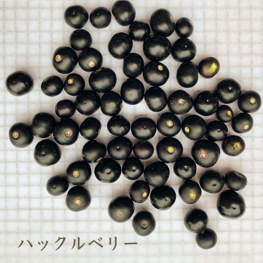 ハックルベリー