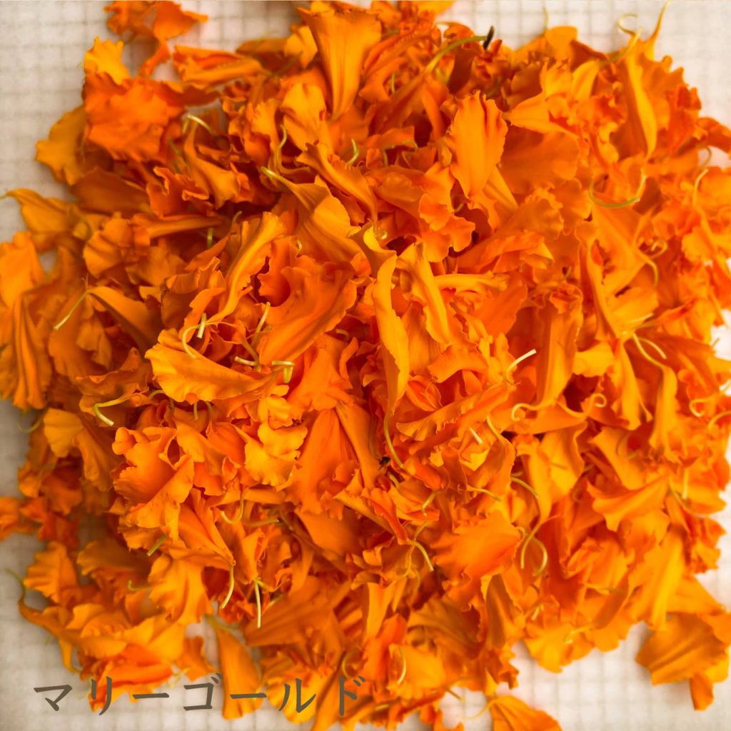 マリーゴールド