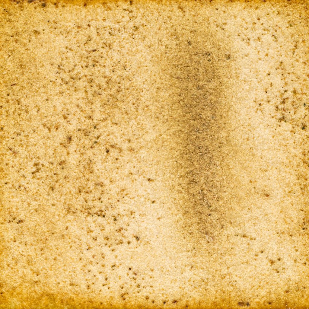 99　みどりげんき