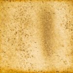 99　みどりげんき