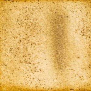 99　みどりげんき