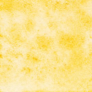 103　みかんのかわ