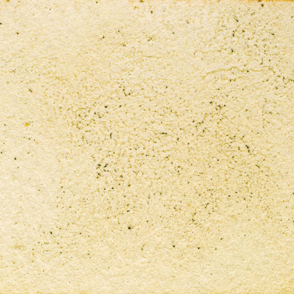 104　しばふのざっそう