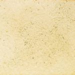 104　しばふのざっそう