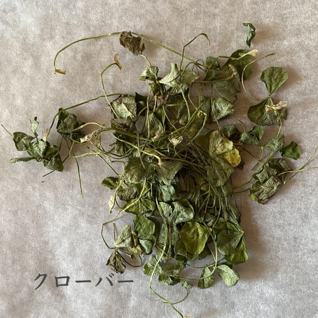 クローバー
