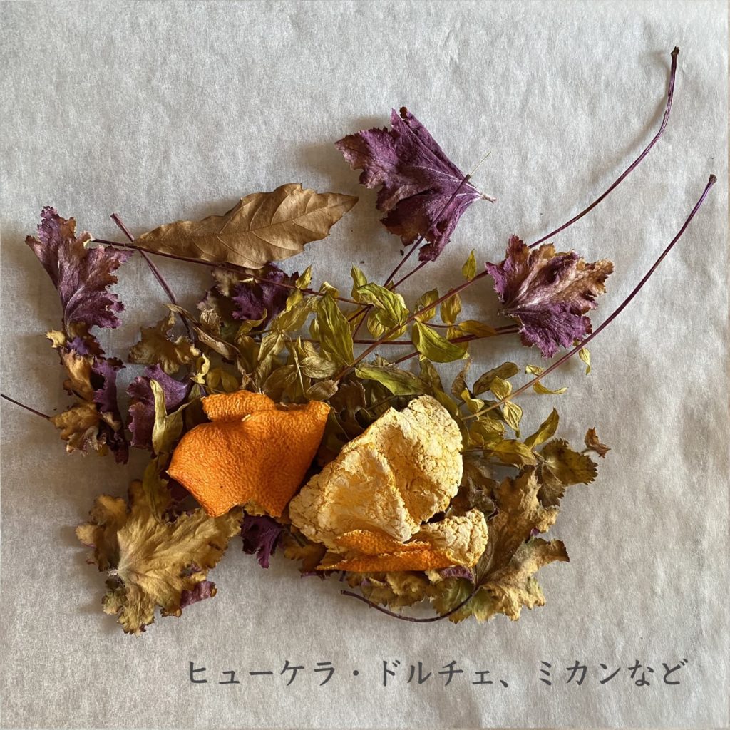 ヒューケラ・ドルチェ、ミカンなど