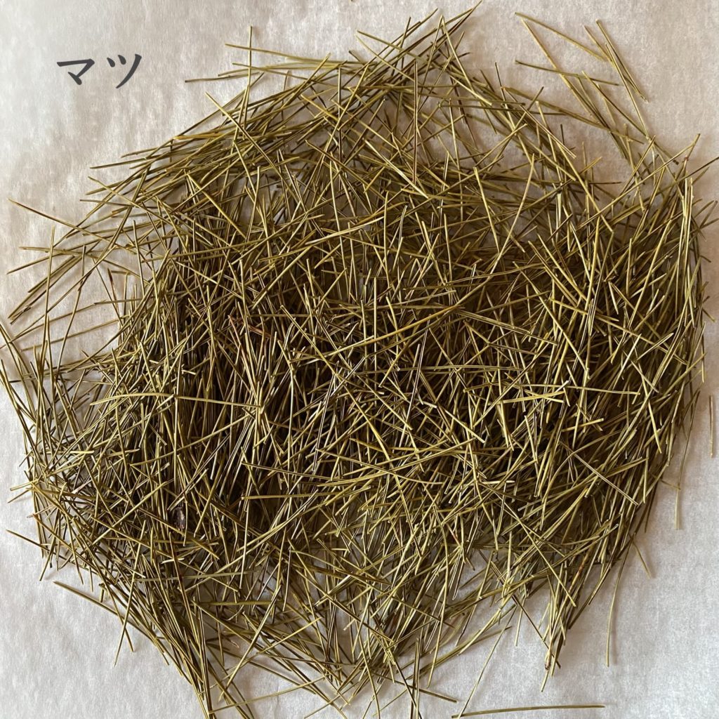 マツ