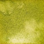 114　まっちゃくん