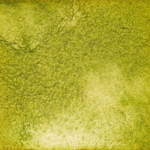 114　まっちゃくん