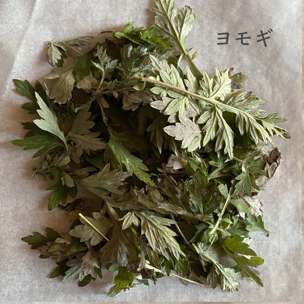 ヨモギ