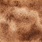 121　ちゃちゃ色