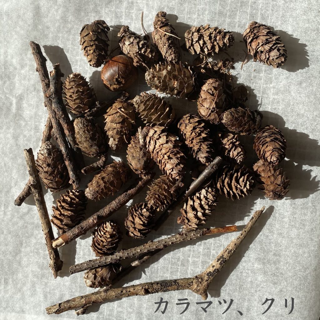 カラマツ、クリ