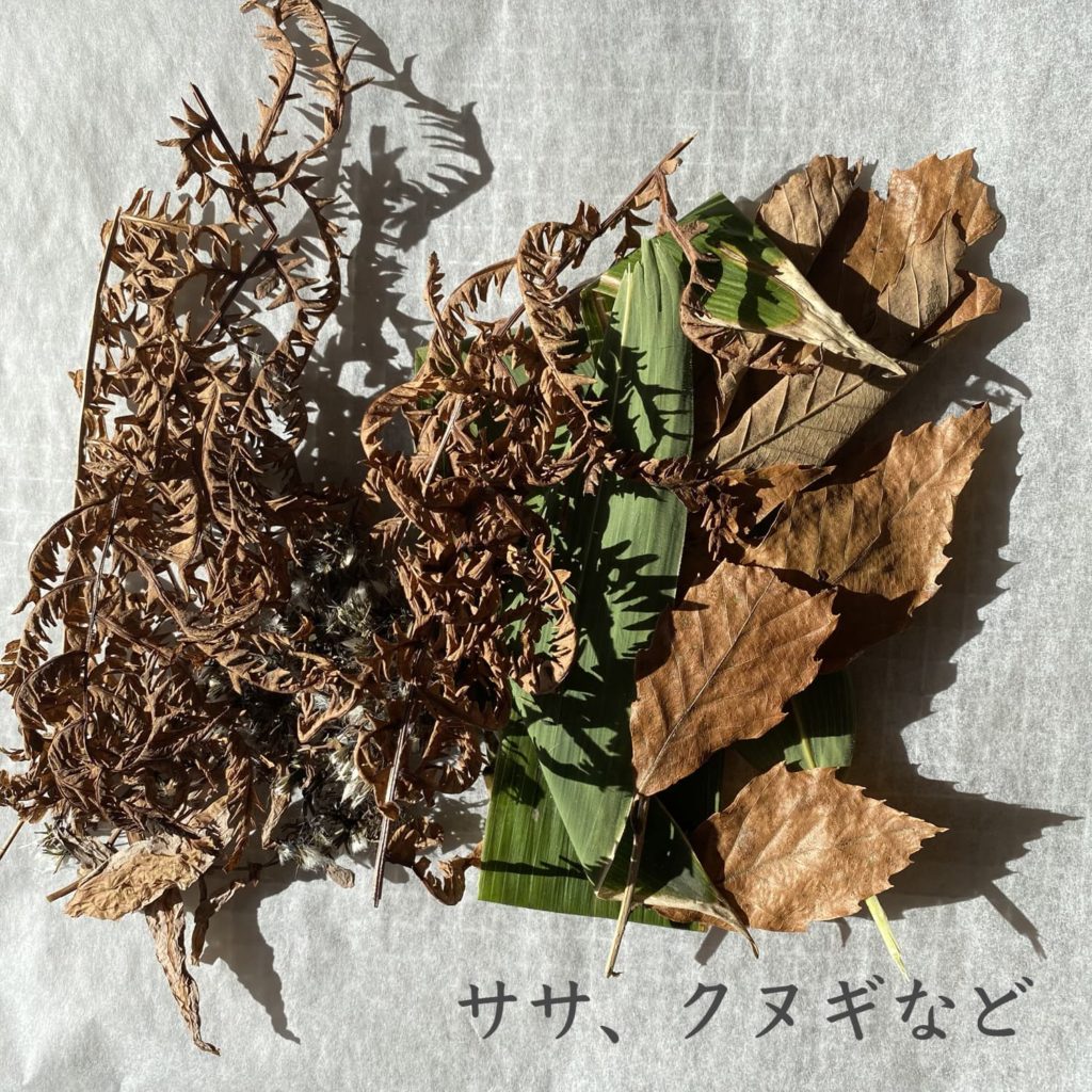 ササ、クヌギなど