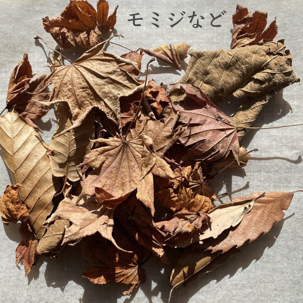 モミジなど