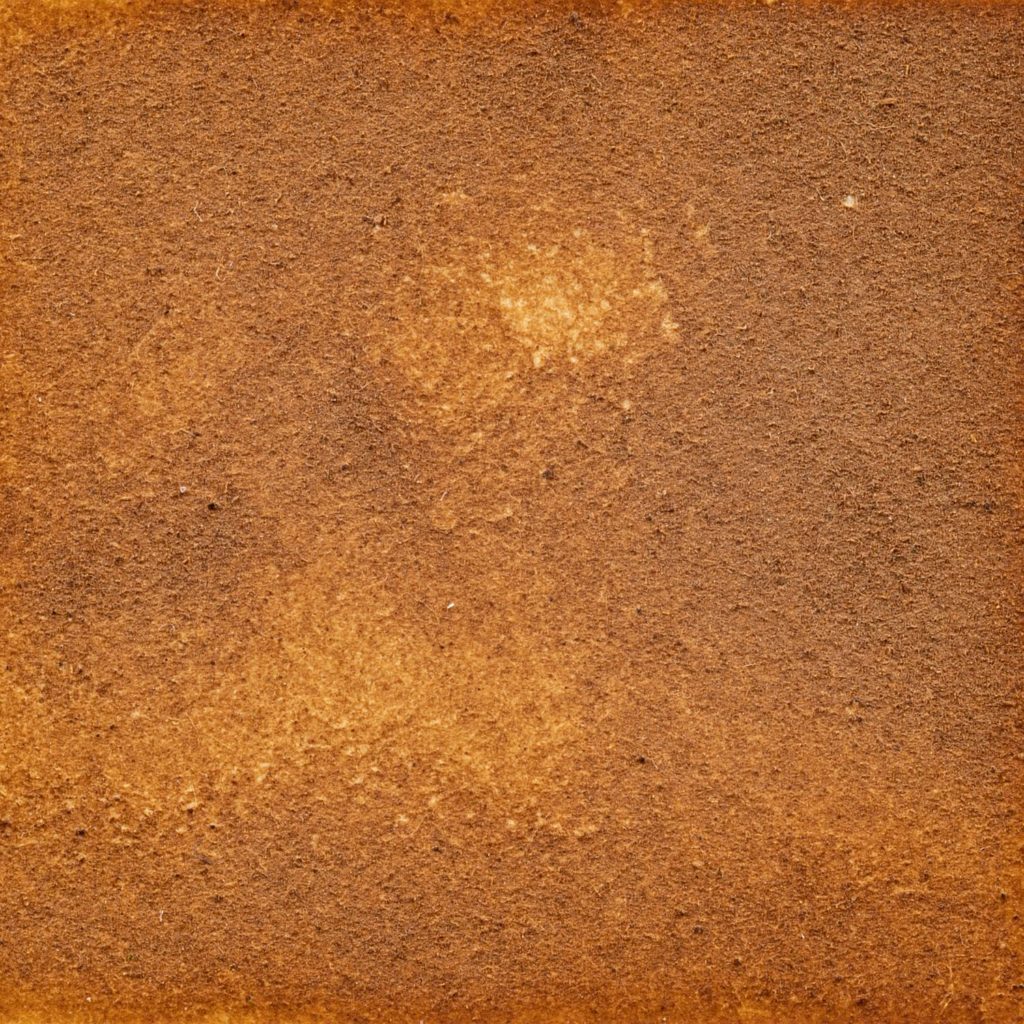 126　きなこバラ