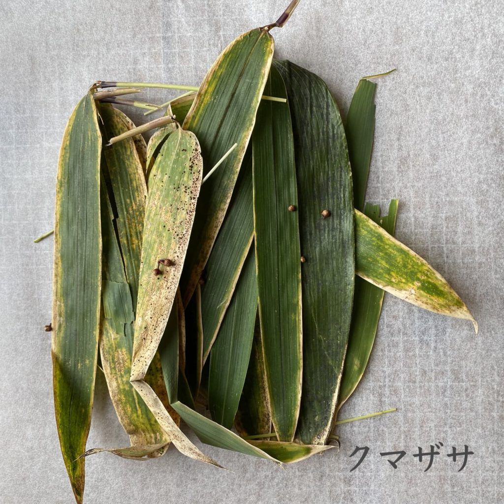 クマザサ
