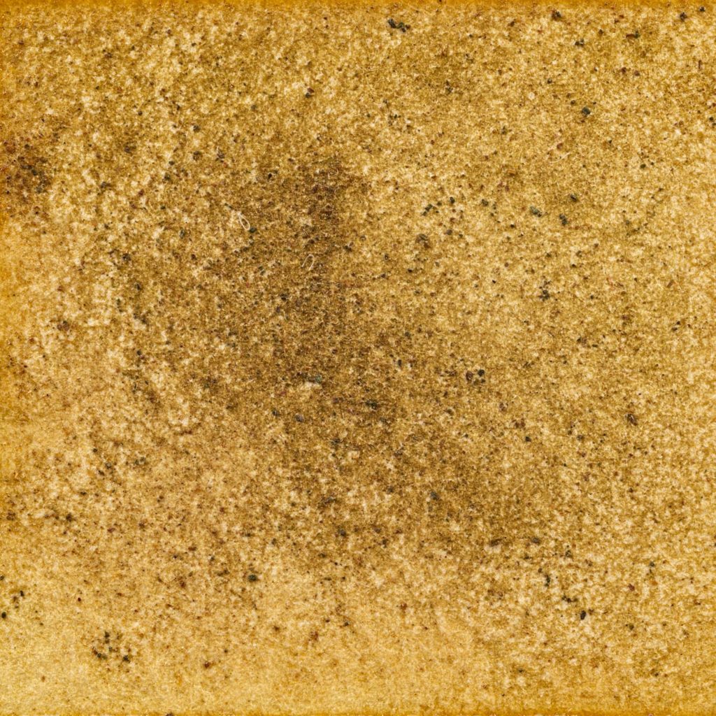 128　黒ヒメジオン