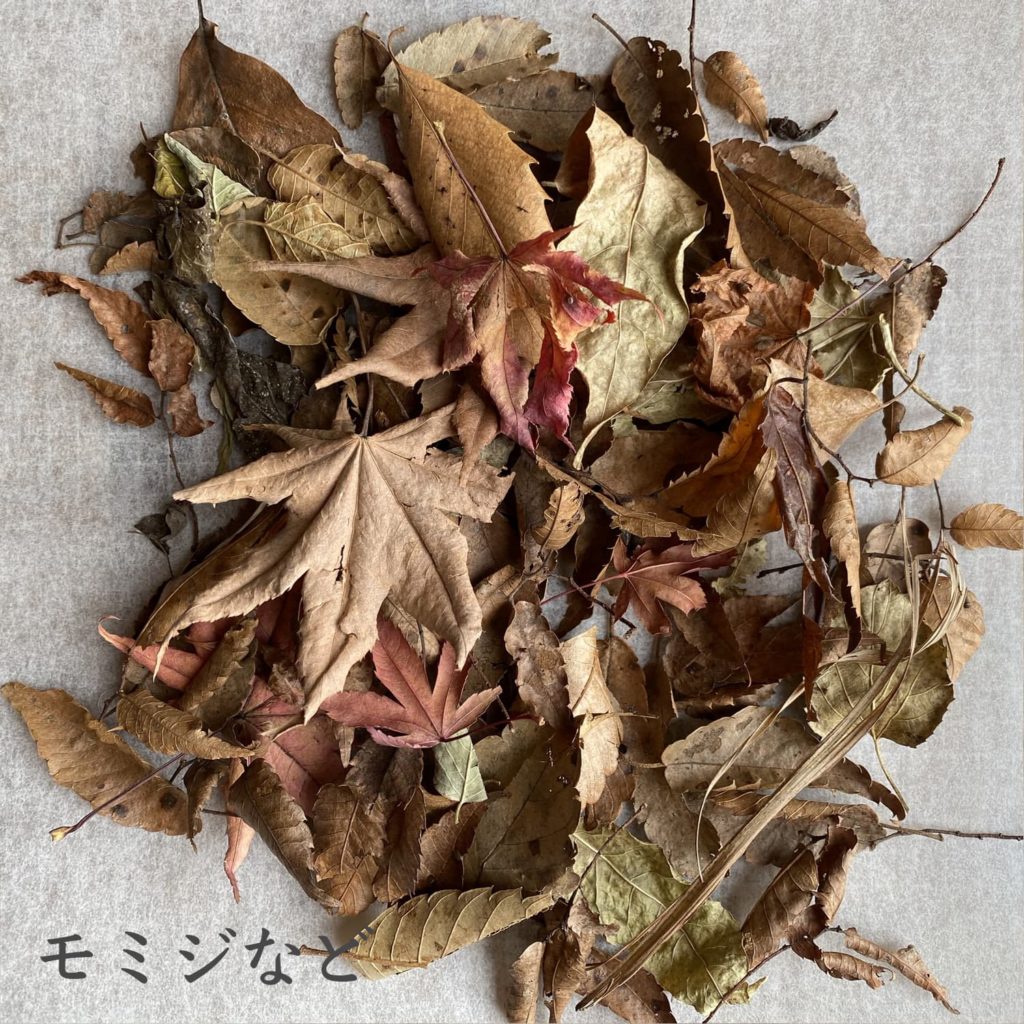 モミジなど