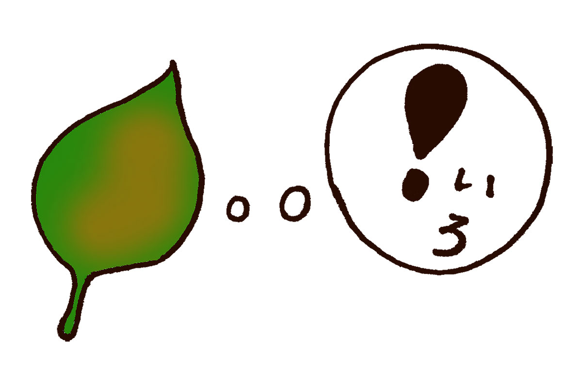 じゆうに かんがえてみてね。